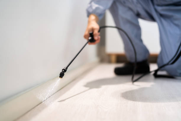 Licensed Mosquito Control service in Windsor, IL - Show Me Pest Control