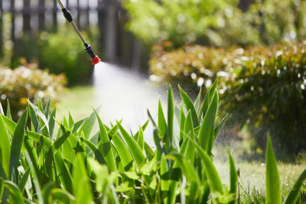 24/7 Emergency Mosquito Control experts in Windsor, IL