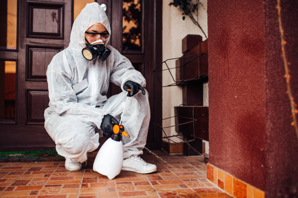Reliable Mosquito Control contractor in Windsor, IL by Show Me Pest Control